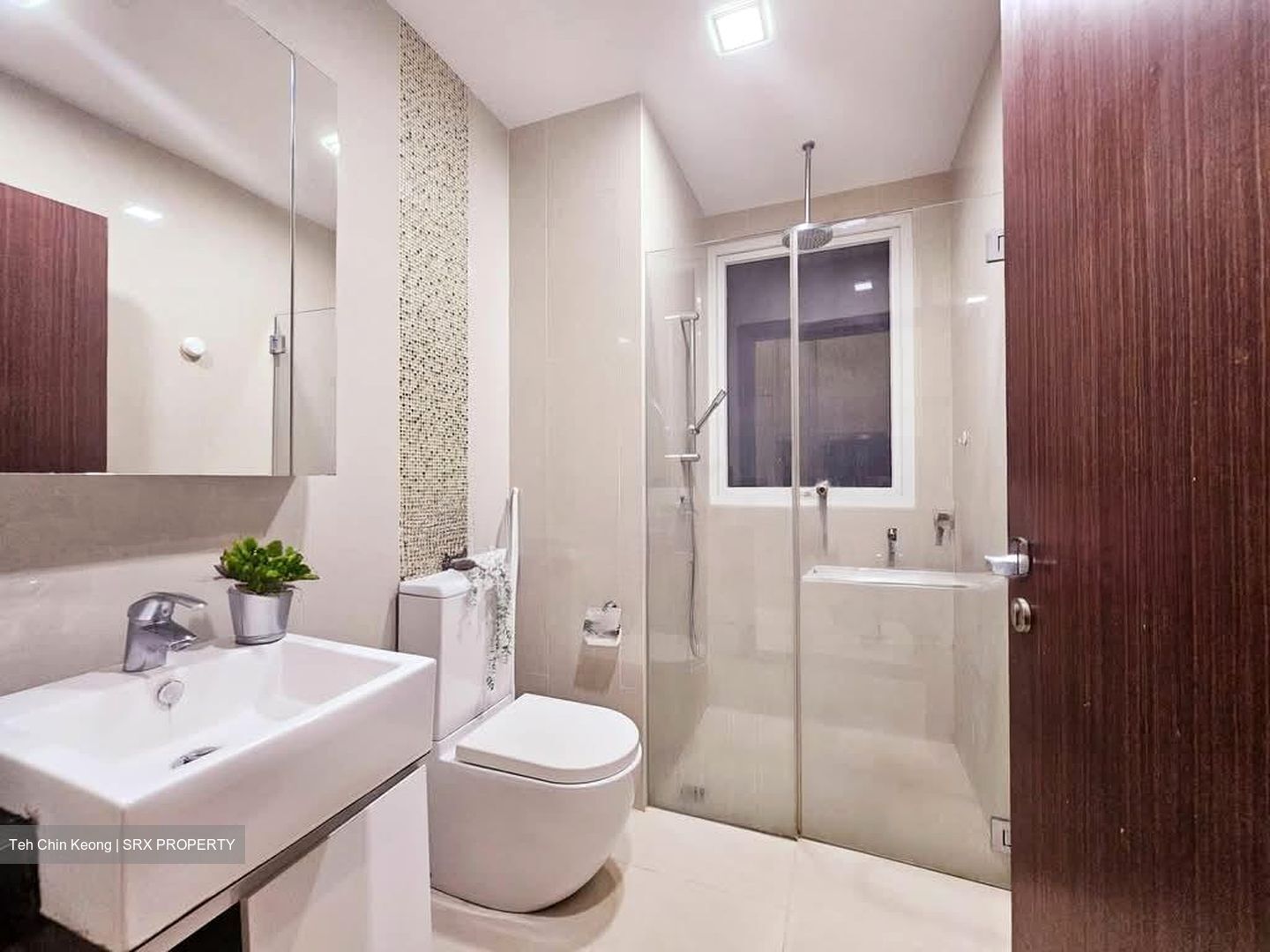 8 Bassein (D11), Apartment #566295841